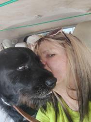 Lost Male Dog last seen Greensbar automotive,on brodway6, Macon, GA 31206
