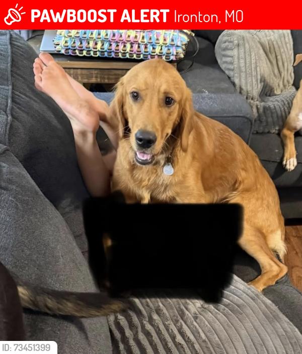 Lost Female Dog last seen Taum Sauk state park, Ironton, MO 63650