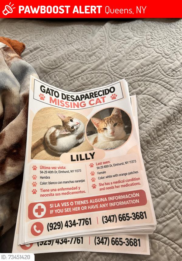 Lost Female Cat last seen Near and roosevelt, Queens, NY 11373