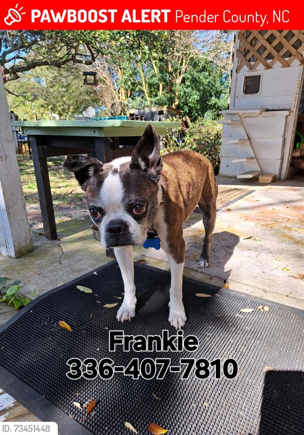 Lost Male Dog last seen Sloop Point Loop Rd and Hickory Point Rd, Hampstead, NC 28443