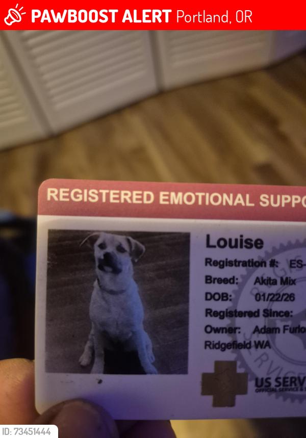 Lost Female Dog last seen NE 199th and 10th, Portland, OR 97230