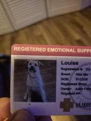 Lost Female Dog last seen NE 199th and 10th, Duluth, WA 98642