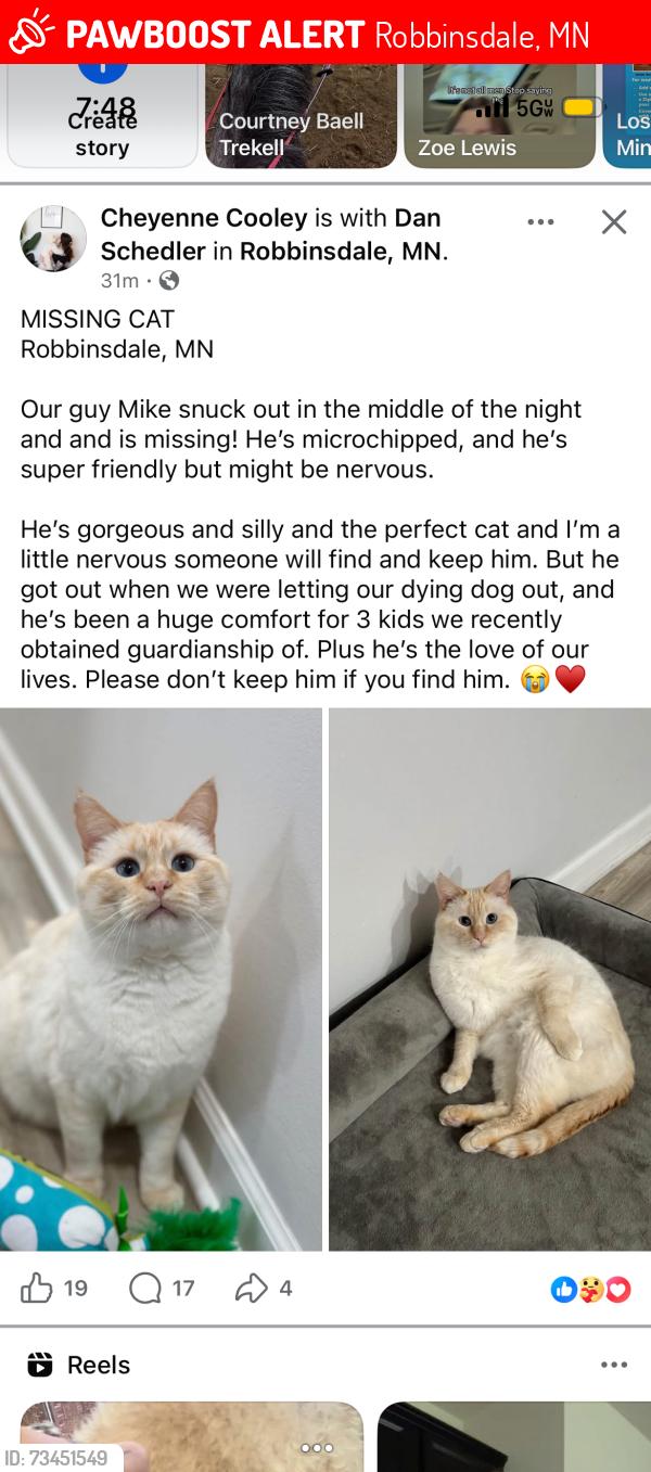 Lost Male Cat last seen Grimes avenue north in robinsdale, Robbinsdale, MN 55422