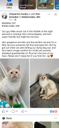 Lost Male Cat last seen Grimes avenue north in robinsdale, Robbinsdale, MN 55422