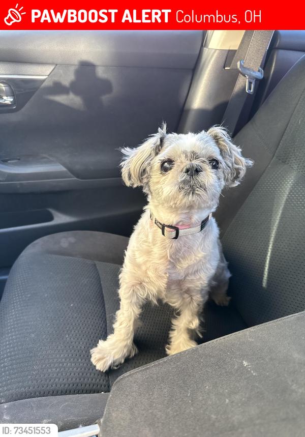 Lost Female Dog last seen Hilliard-Rome and Hillbrook, Columbus, OH 43119