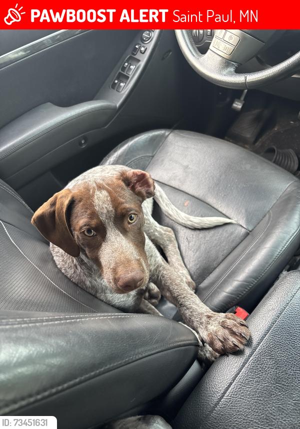Lost Male Dog last seen van buren, Saint Paul, MN 55104