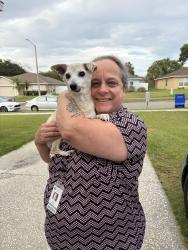 Reunited Male Dog last seen Parker cove ct, Ocoee, FL 34761