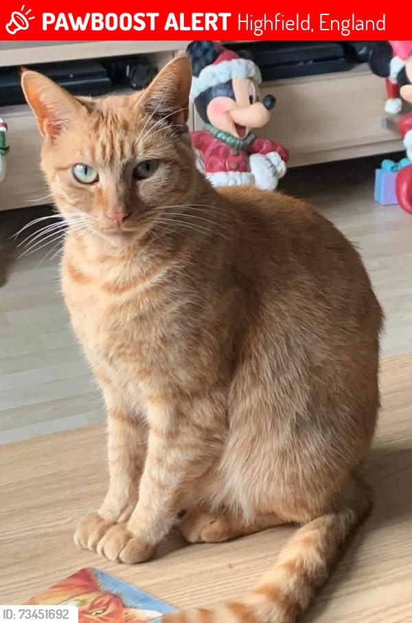 Lost Male Cat last seen Boxhill hp2 5yr, Highfield, England 