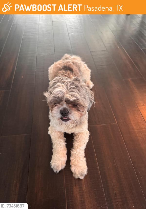 Found/Stray Male Dog last seen Crenshaw rd, Pasadena, TX 77504