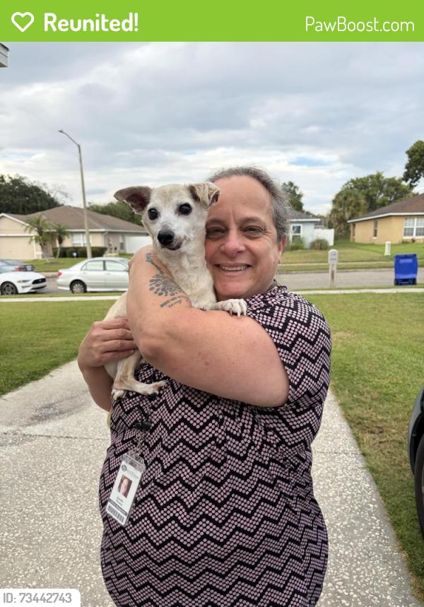 Reunited Male Dog last seen Parker cove ct, Ocoee, FL 34761