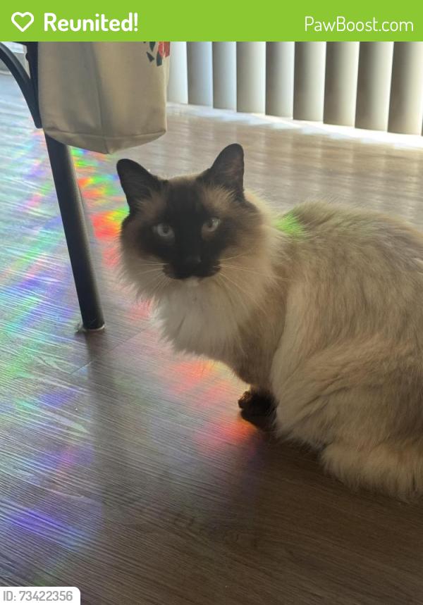 Reunited Male Cat last seen Thomasville Cir & Mahaffey, Lakeland, FL 33811