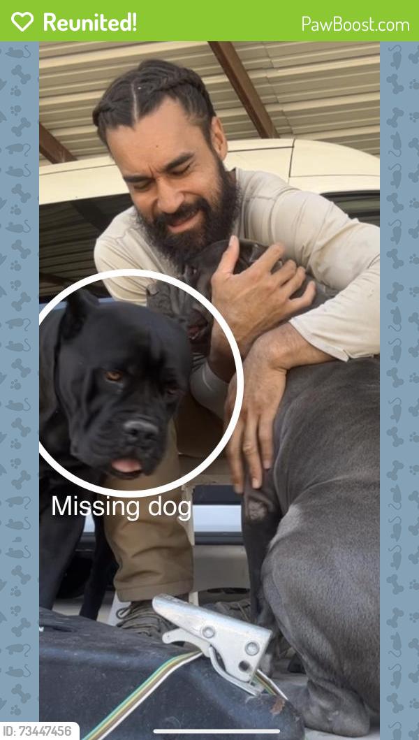 Reunited Female Dog last seen Carver, Highway 28, Las Cruces, NM 88005