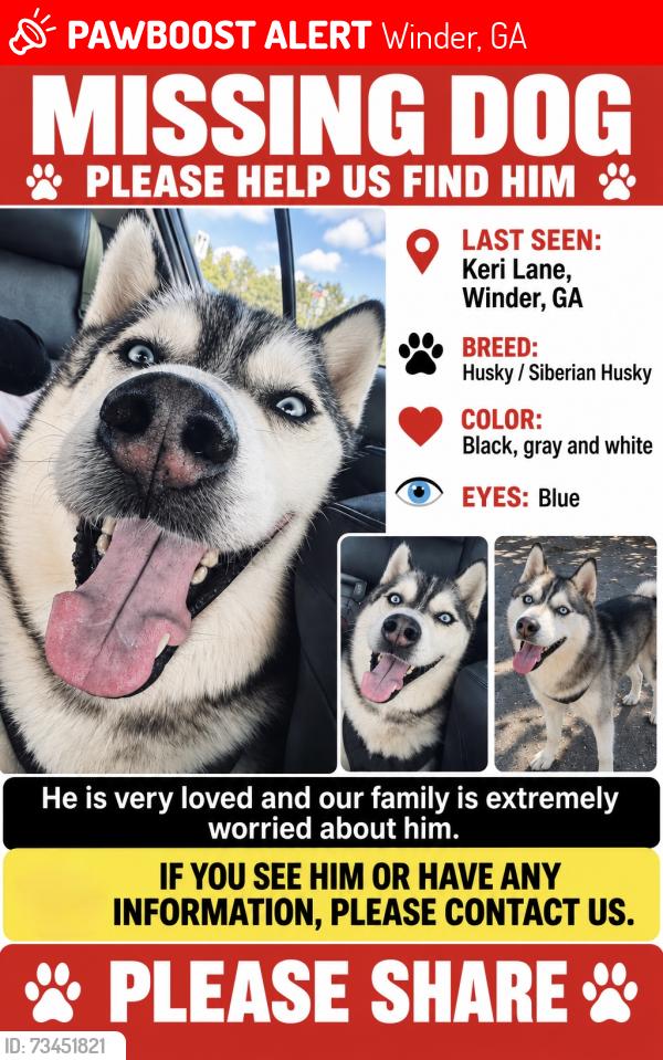 Lost Male Dog last seen Keri lane , winder, ga 30680, Winder, GA 30680