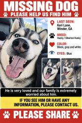 Lost Male Dog last seen Keri lane , winder, ga 30680, Winder, GA 30680