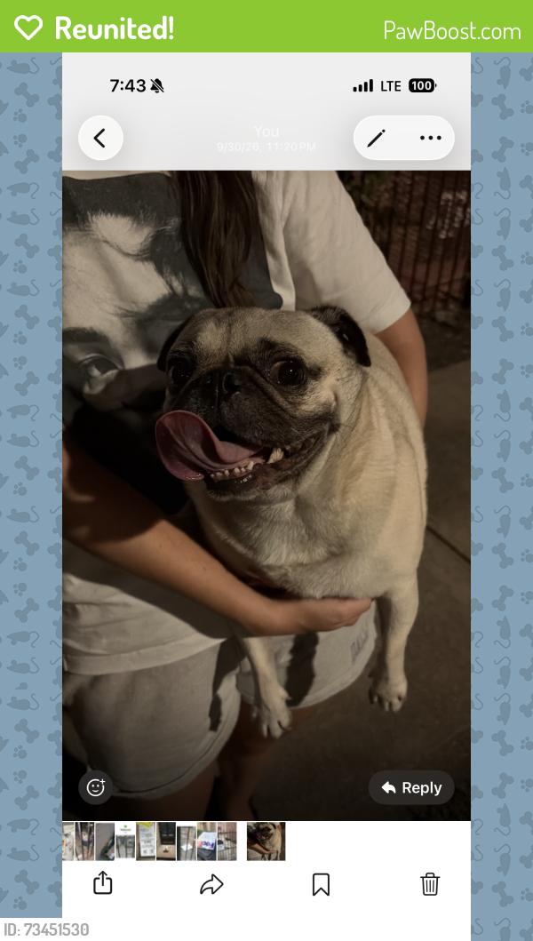 Reunited Unknown Dog last seen On Chenevert and tuam, Houston, TX 77004