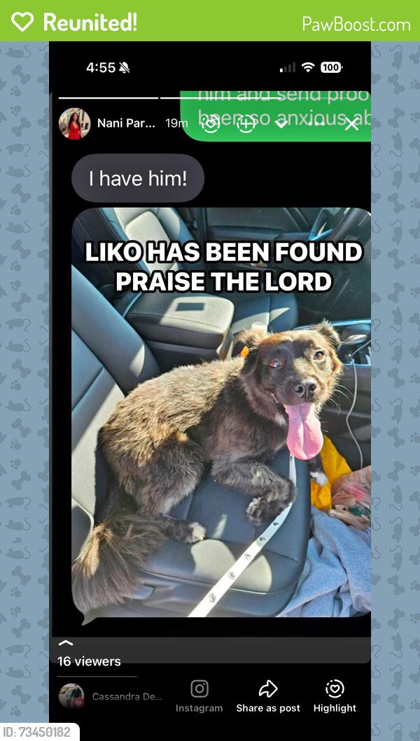 Reunited Male Dog last seen Near Narragansett Ct. VB VA 23462, Virginia Beach, VA 23462