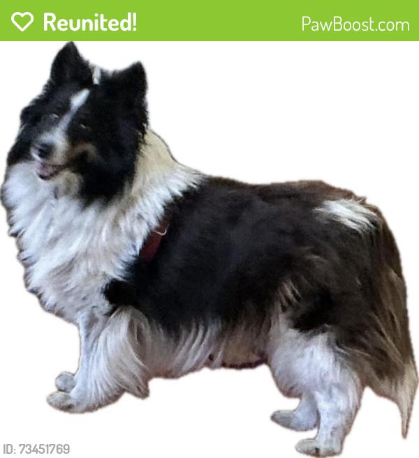 Reunited Female Dog last seen Yukon & northdale, Coon Rapids, MN 55433