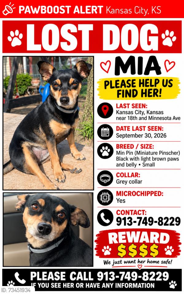 Lost Female Dog last seen Near st and Minnesota Ave, Kansas City, KS 66102