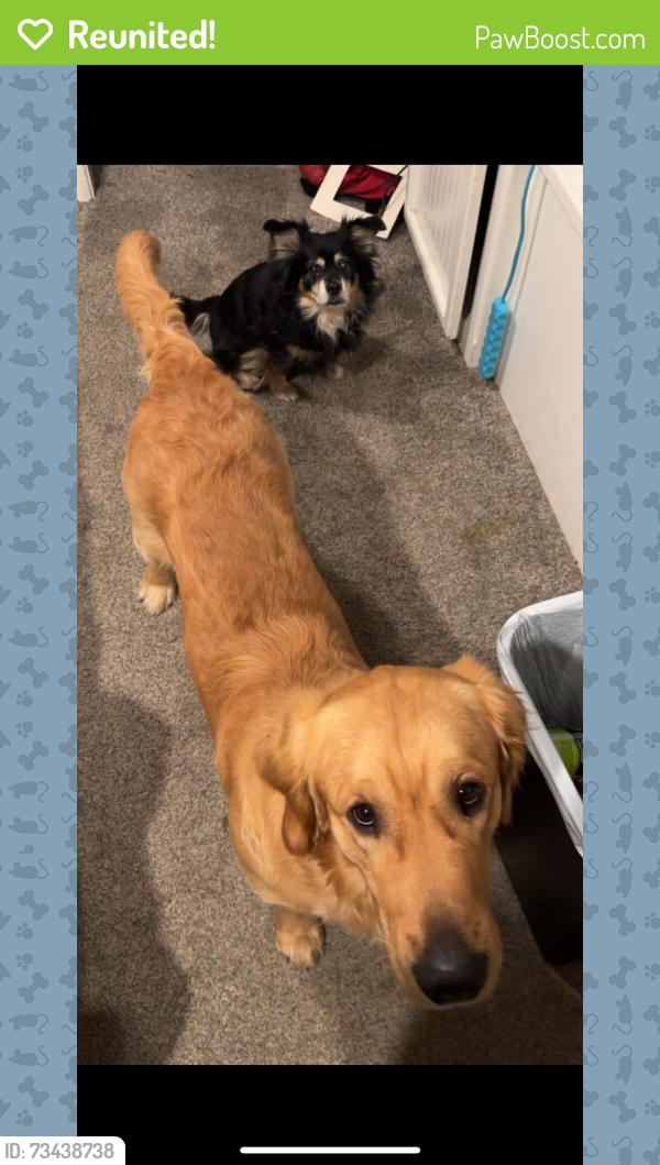 Reunited Male Dog last seen Faith home rd and fulkreth, Ceres, CA 95307