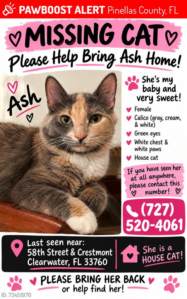 Lost Female Cat last seen Roosevelt Blvd and 58th St Clearwater, Pinellas County, FL 33760