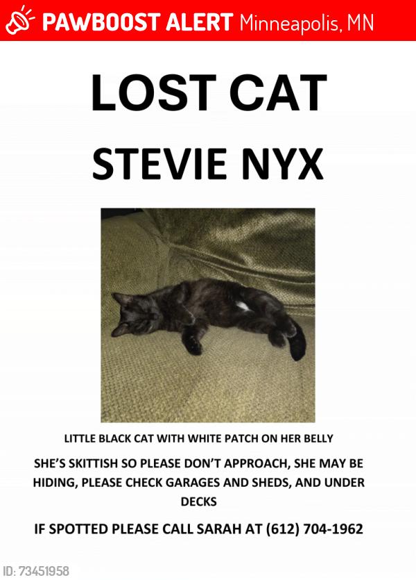 Lost Female Cat last seen 26th Ave N and 4th Street N, Minneapolis, MN 55411