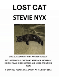 Lost Female Cat last seen 26th Ave N and 4th Street N, Minneapolis, MN 55411