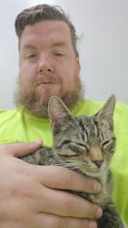 Found/Stray Male Cat last seen Across the street, Columbus, OH 43207