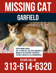 Reunited Male Cat last seen Southfield Rd & Paul St, Detroit, MI 48228