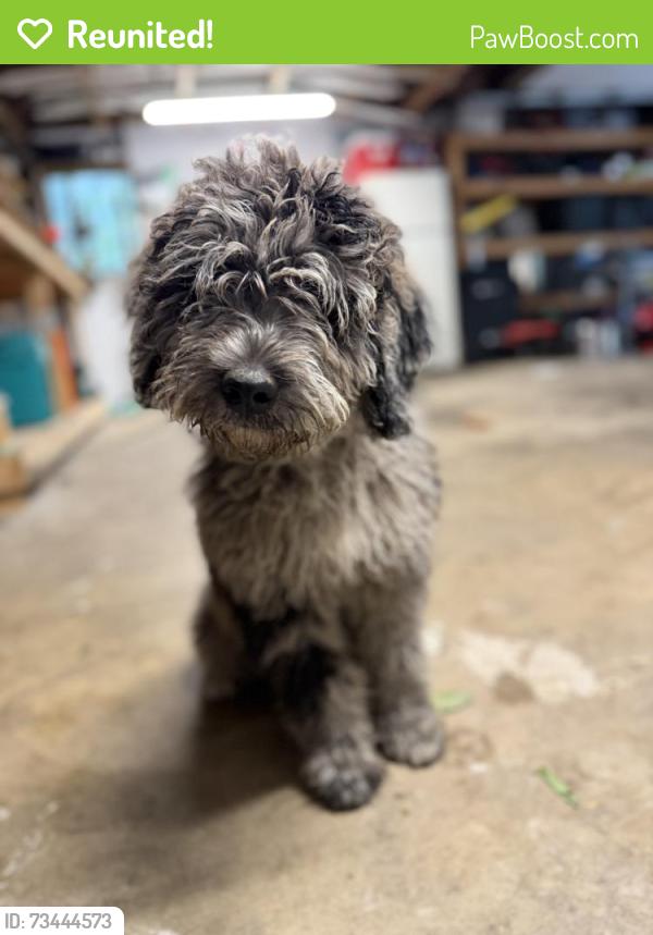 Reunited Female Dog last seen 10&30, Gap, PA 17527