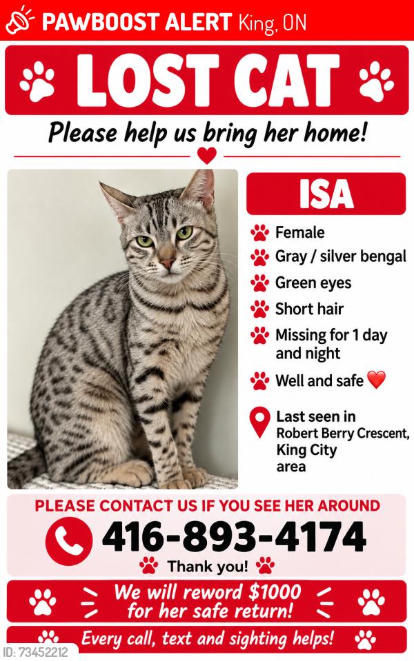 Lost Female Cat last seen Robert Berry Crescent, King City, King, ON 