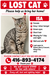Lost Female Cat last seen Robert Berry Crescent, King City, King, ON 