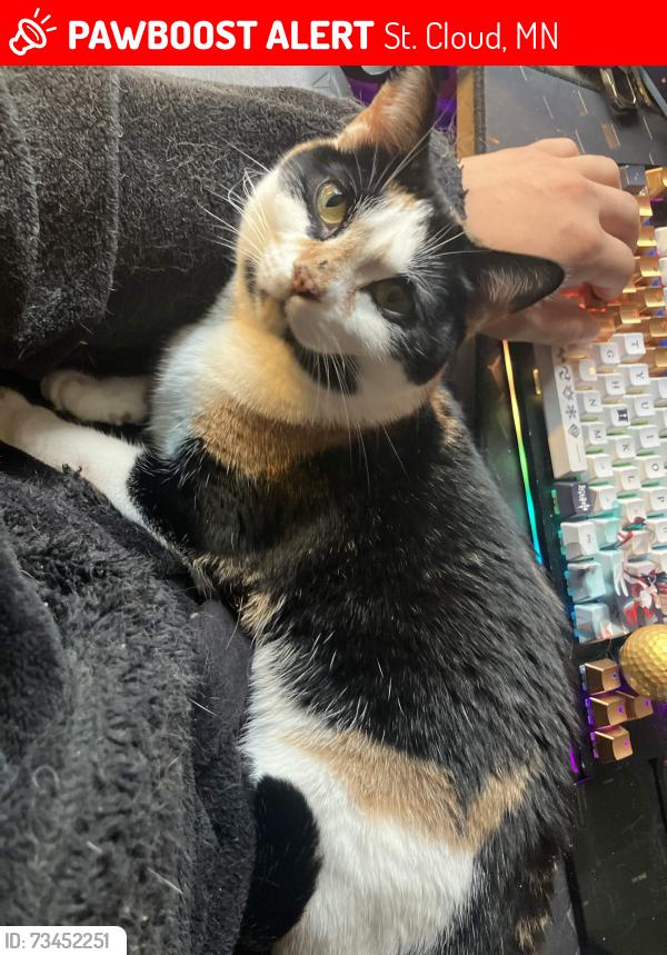 Lost Female Cat last seen Crossroads Center by the DJBitzen, St. Cloud, MN 56301