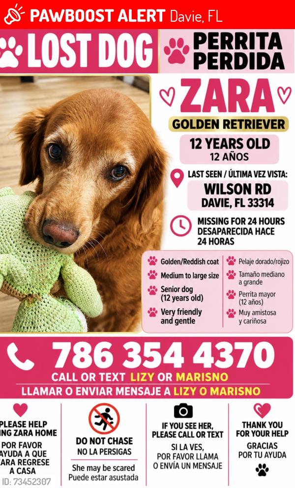 Lost Female Dog last seen Serca de la cada cruzando la calle Wilson Rd, Davie, FL 33314