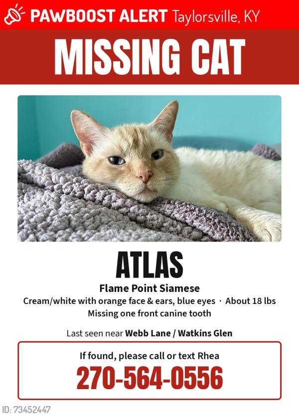 Lost Male Cat last seen Watkins Glenn Neighborhood, Taylorsville, KY 40071