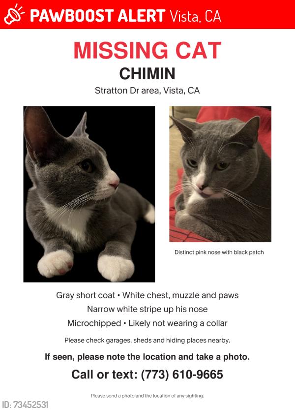 Lost Unknown Cat last seen Stratton Dr area, Vista, Vista, CA 92083