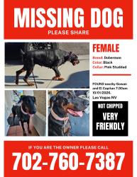 Found/Stray Female Dog last seen El capitan, Las Vegas, NV 89129