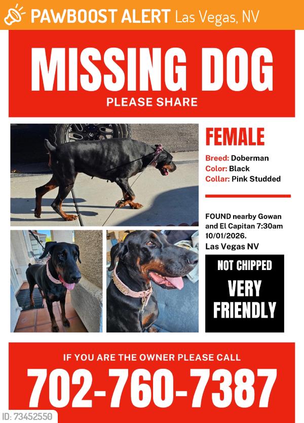 Found/Stray Female Dog last seen El capitan, Las Vegas, NV 89129