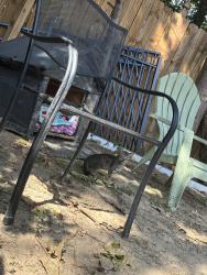Found/Stray Unknown Cat last seen Jimmy carter, Norcross, GA 30071