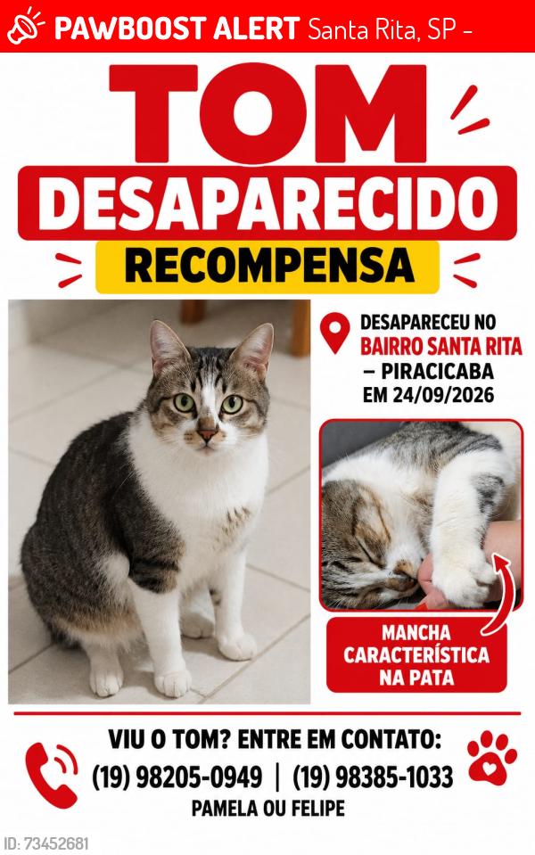 Lost Male Cat last seen Lagoa santa Rita, Santa Rita, SP 13423-363