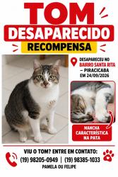 Lost Male Cat last seen Lagoa santa Rita, Santa Rita, SP 13423-363