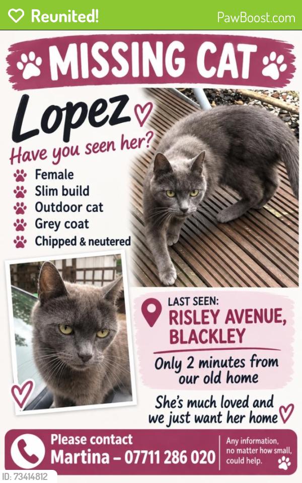 Reunited Female Cat last seen Slack Road, Greater Manchester, England M9 8EE