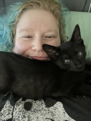 Shelter Stray Male Cat last seen unknown lawrenceville, Other - Out of County, GA, 3280 Chamblee Dunwoody Rd, Chamblee, GA 30341, USA