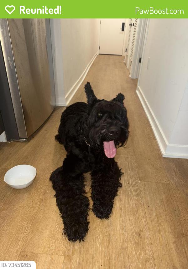 Reunited Unknown Dog last seen Eckington Pl & Q st, Washington, DC 20002