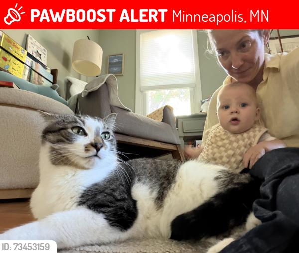 Lost Male Cat last seen Near glenwood exit off highway 100, Minneapolis, MN 55416