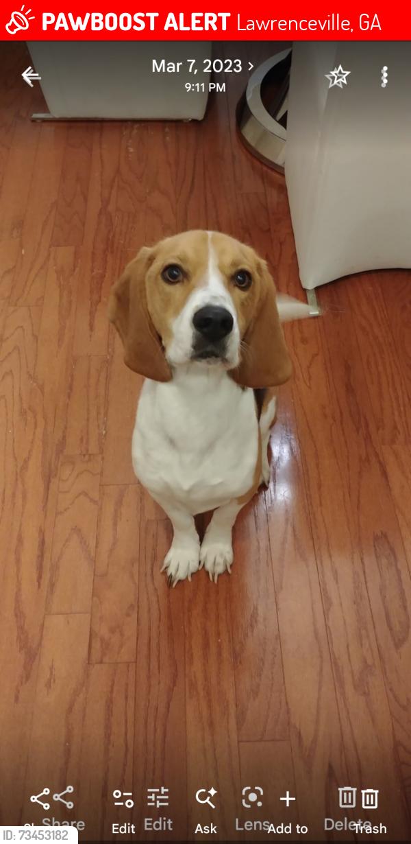 Lost Male Dog last seen LAWRENCEVILLE HWY AND FIVE FORKS, Lawrenceville, GA 30044