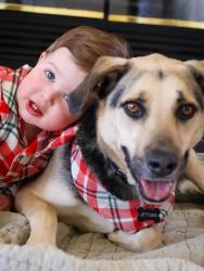 Reunited Male Dog last seen Irving kayenta, Albuquerque, NM 87114