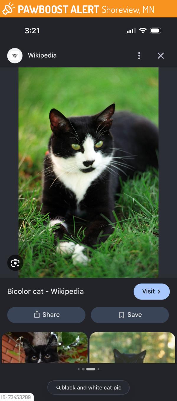 Found/Stray Unknown Cat last seen Harriet and owasso, Shoreview, MN 55126