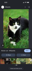 Found/Stray Unknown Cat last seen Harriet and owasso, Shoreview, MN 55126