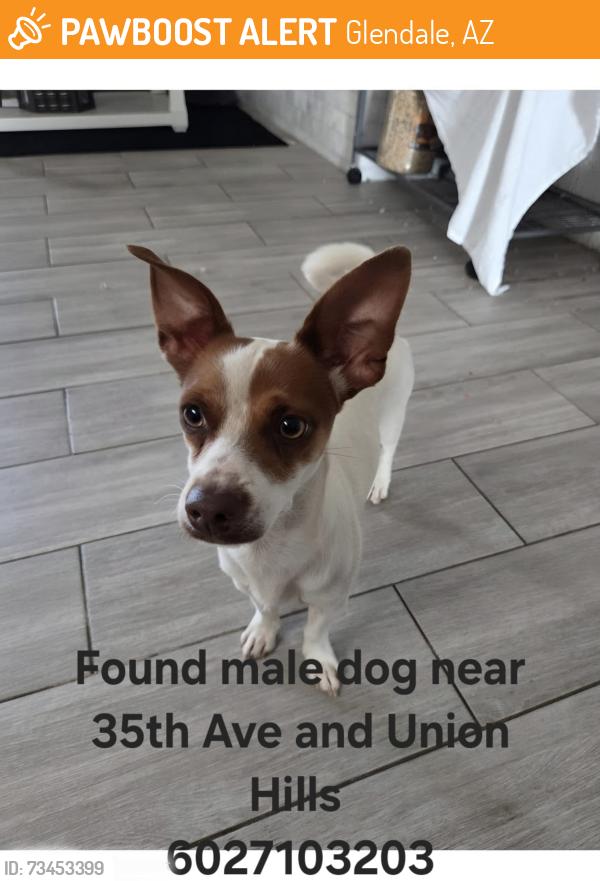 Found/Stray Male Dog last seen 35th ave & Union Hills, Glendale, AZ 85308