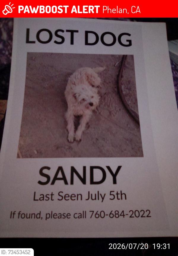 Lost Male Dog last seen La Mesa Rd., Phelan, CA 92371